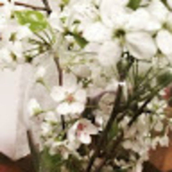 Meet your Posher, Barb - Picture 1 of 1